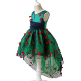 Vestido Miracle (2-10 años)