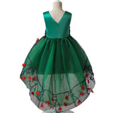 Vestido Miracle (2-10 años)