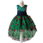 Miracle Dress (2-10 years) 